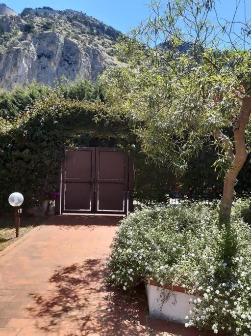 Da Nonna Cettina Appartamento In Villa Con Piscina 巴勒莫 外观 照片
